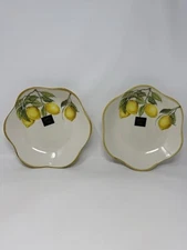 (2) Effetti Lemon Pasta Bowls 8.75in Handmade in Italy NEW VHTF quality 2025