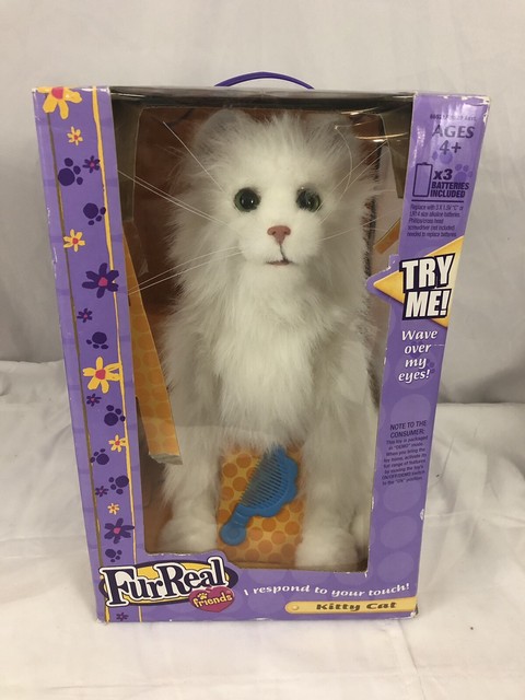 lulu my cuddlin kitty