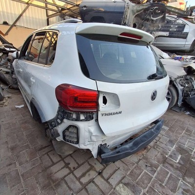 2017 Volkswagen Tiguan Limited Window Channel 5N0837432G5AP