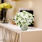 Foto 10 di 27