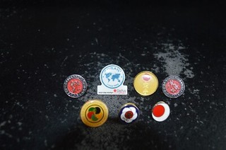 7 x Pin Badge Anstecker Karate Kampfsport