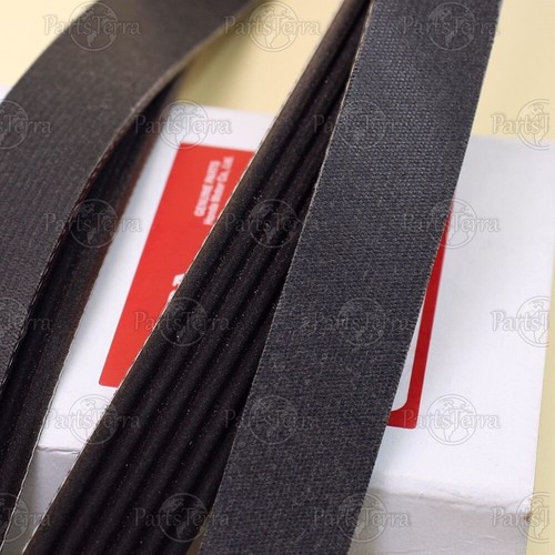 OEM Serpentine Drive Belt – For Accord, Pilot, Odyssey, MDX, TL, RL (56992-RV0-A05)