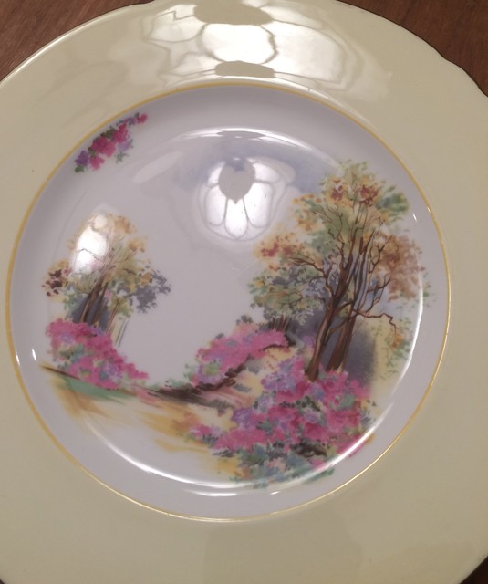 Shelley 0188 England's Charm 10.5" dinner plate wide pale