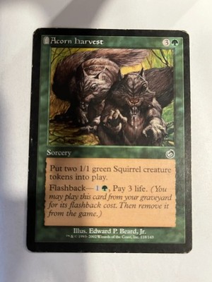 mtg acorn cards Acorn Harvest - Torment - Magic the Gathering MTG Nice!