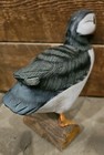 Bild 5 von 7