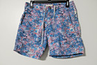 Onia Men's 33 Liberty Art Fabric Printed Calder Swim Shorts Size 29 — photo 1