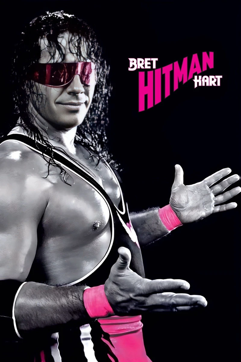 Las mejores ofertas en Bret Hart WWE Wrestling carteles | eBay
