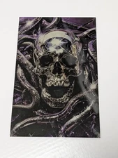 Chamberlains #2 Cover D Todd Skull Metal Cover Variant