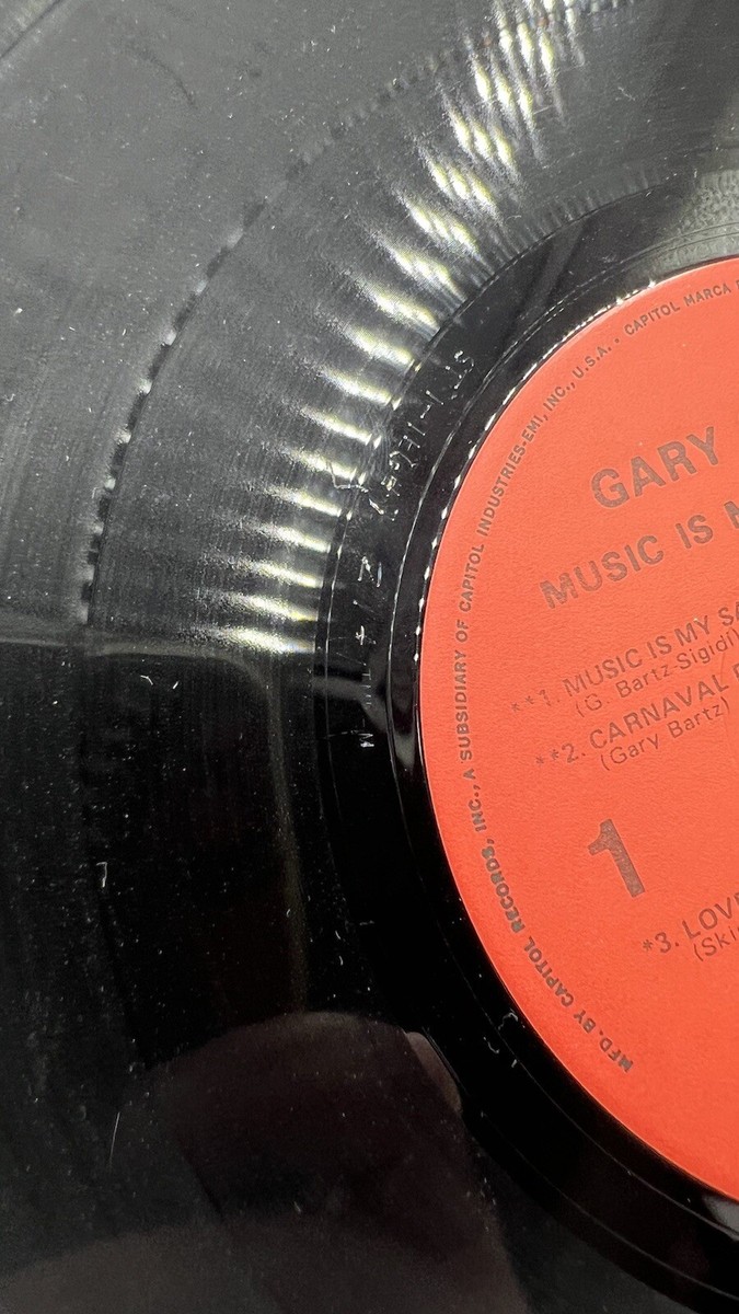 洋楽 Gary Bartz Music is my sanctuary LP Gary Bartz – Music Is My Sanctuary | Releases | Discogs