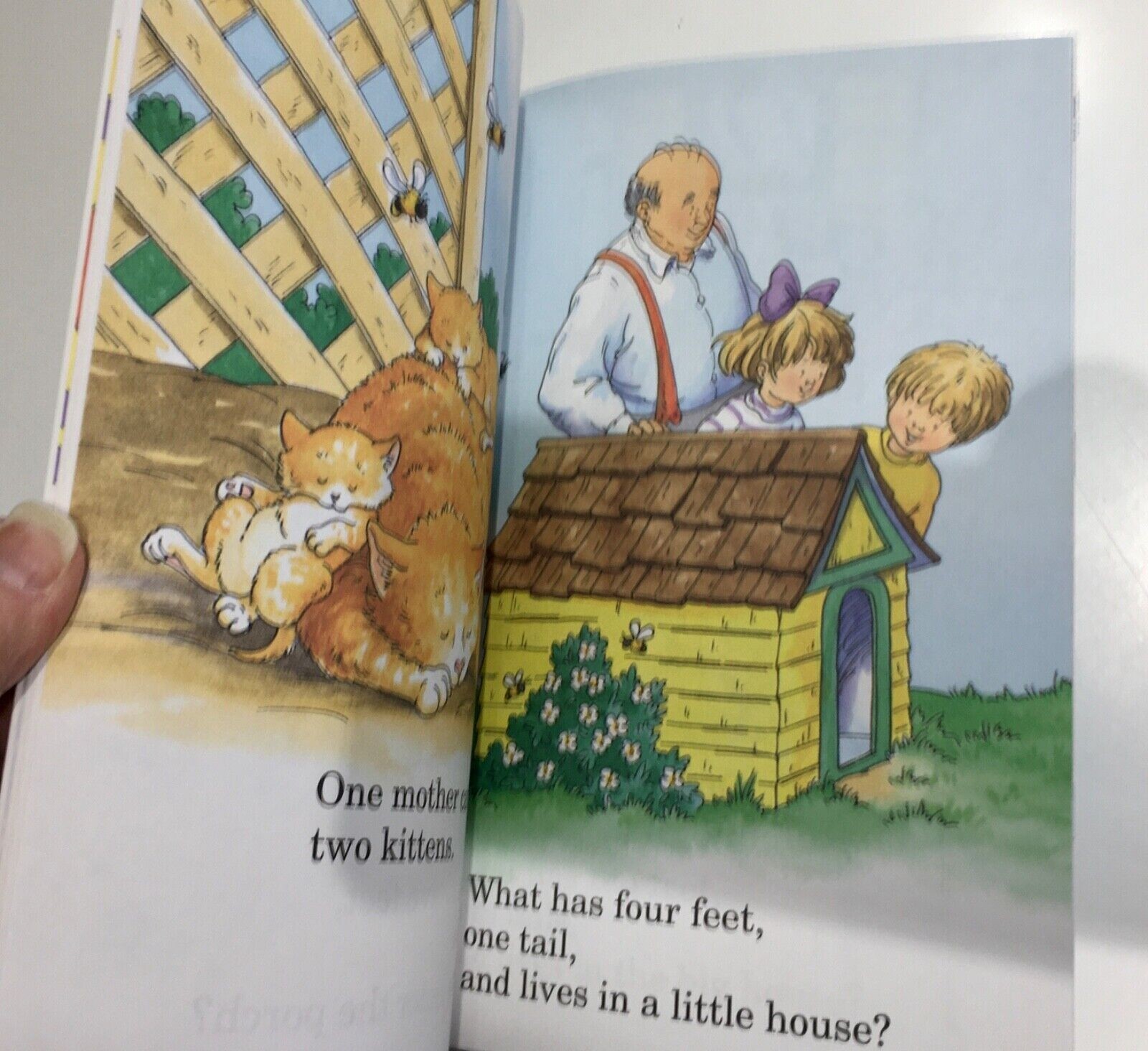 Hello Reader! Math Ser.: How Many Feet? How Many Tails? : A Book of ...