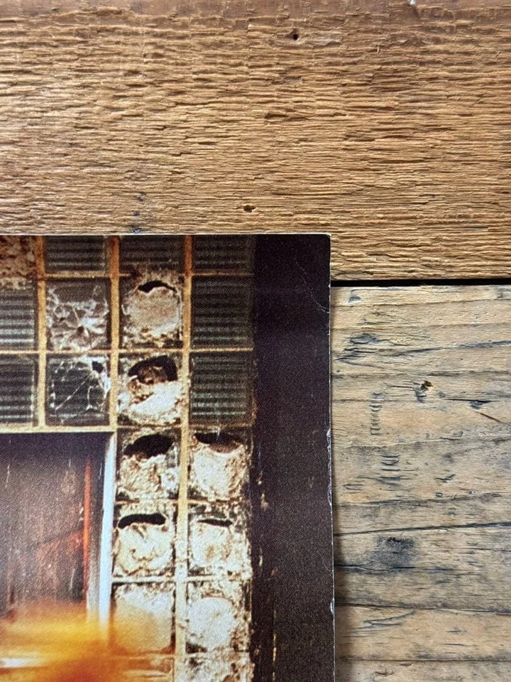 Rancid / Life Won't Wait 1998 Japan Original Promo D/S Mini Poster Set of 2 - Image 4 of 4