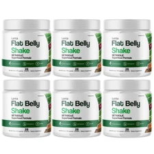 Lanta Flat Belly Shake Weight Loss,Fat Burn Appetite Control Supplement - 6 Tubs