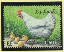 PROMO 50 POCHETTES HAWID FOND NOIR NEUVES 40 X 31 SIMPLE SOUDURE -40%