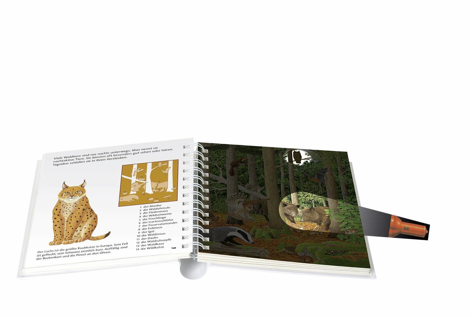 Thumbnail - Tief Wald