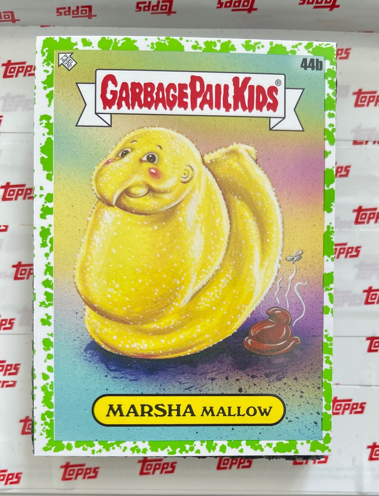 Marsha Mallow