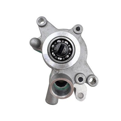 Hochwertige Wasserpumpe 22820 LU019252 für Linhai 250/260/300cc ATV
