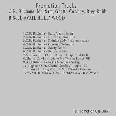 R&B, Blues.. White CD. O.B. Buchana, Bigg Robb, Mr. Sam, Avail Hollywood, B Soul