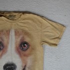 Picture 5 of 17