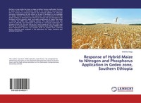 Debebe Degu | Response Of Hybrid Maize To Nitrogen And Phosphorus Application...