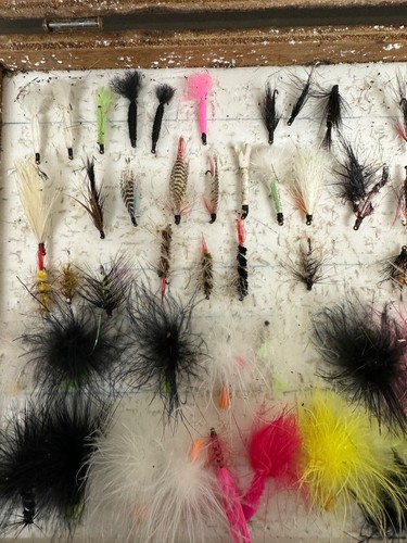 Gran colección de moscas de pesca con mosca - Imagen 7 de 7