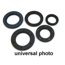 Fits 2010 Yamaha YZ85 Oil Seal Kit Winderosa 822173