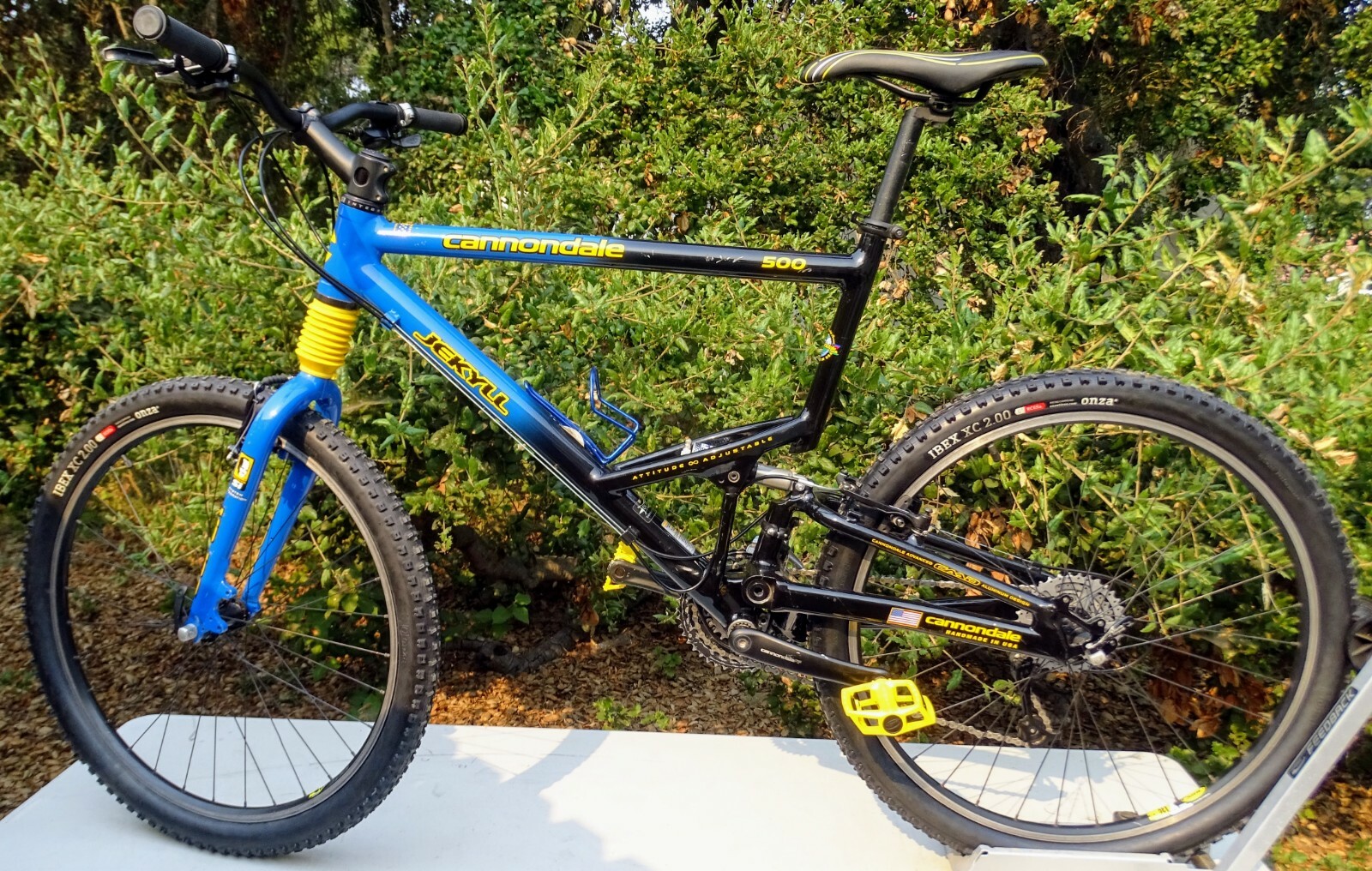 cannondale jekyll team