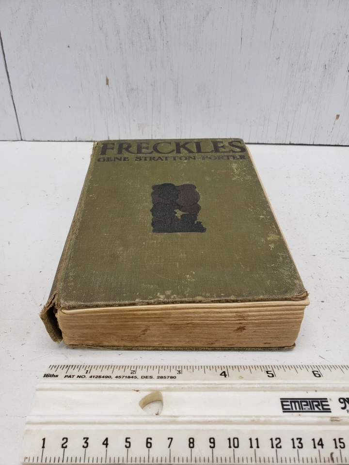 Freckles by Gene Stratton-Porter, 1904 Foto 4 de 4