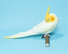 Shine G Tenori Inko Sleep Good Night Lutino cockatiel bird mini figure US seller