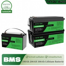 12V 100Ah 200AH 300Ah Lithium Batterie LiFePO4 Akku BMS 15000+ Zyklen Wohnmobil