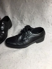 Deer Stags Ace Beige Wingtip Oxfords Shoes Boys 6M Big Kid