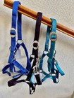 New Lot Of 3 Horse Halters