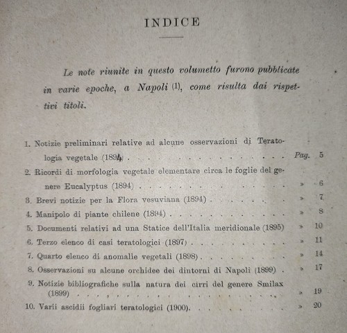 Erminio Migliorato NOTE BOTANICHE di vario argomento, 1910. TERATOLOGIA BOTANICA - Picture 8 of 11