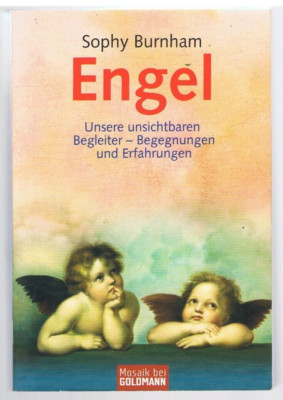Engel - Unsere unsichtbaren Begleiter Begegnungen und Erfahrungen Sophy Burnham
