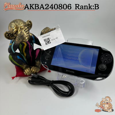 PS Vita PCH-1100 Black [ Rank : B] Console W/USB Cable【 1Day 