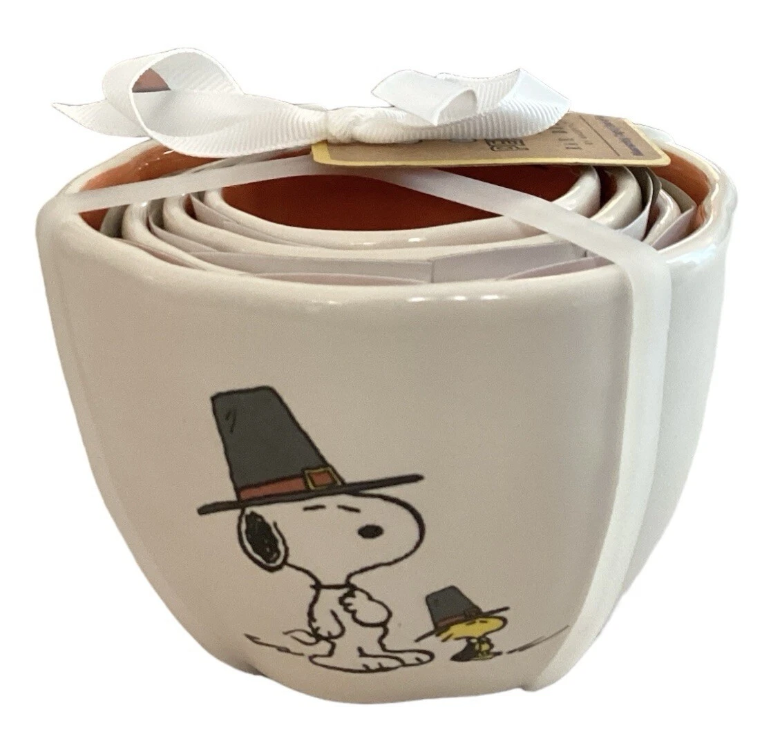 RAE DUNN Set of 4 Peanuts Snoopy and Woodstock Thanksgiving Measuring Cups