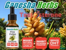 PINE POLLEN TINCTURE MAXIMUM STRENGTH! BOOST TEST 2 Ounces 100% NATURAL