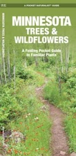 Minnesota Trees & Wildflowers: An Introduction to Familiar Species by Kavanagh
