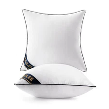 20x20 Pillow Inserts Set of 2 Throw Pillows 20 Inch Premium Down Alternative ...