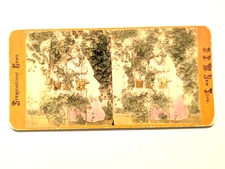Color Tinted Stereoview Photo Gardener's Daughter PFW of New York