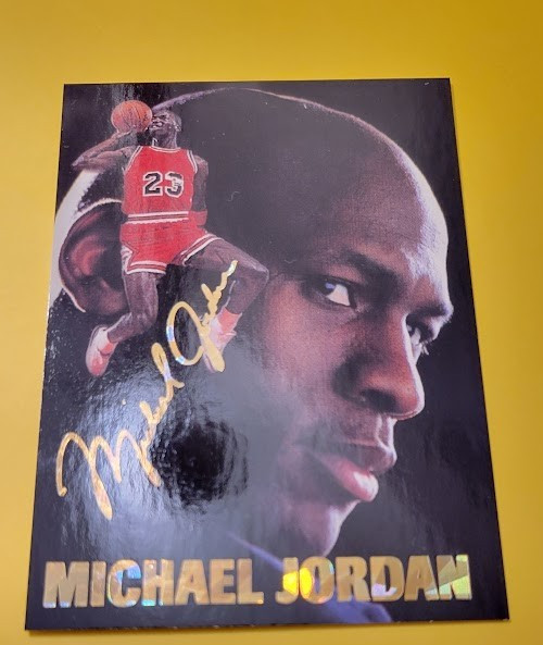 1993-94 Arena Sports Michael Jordan  #NNO Michael Jordan