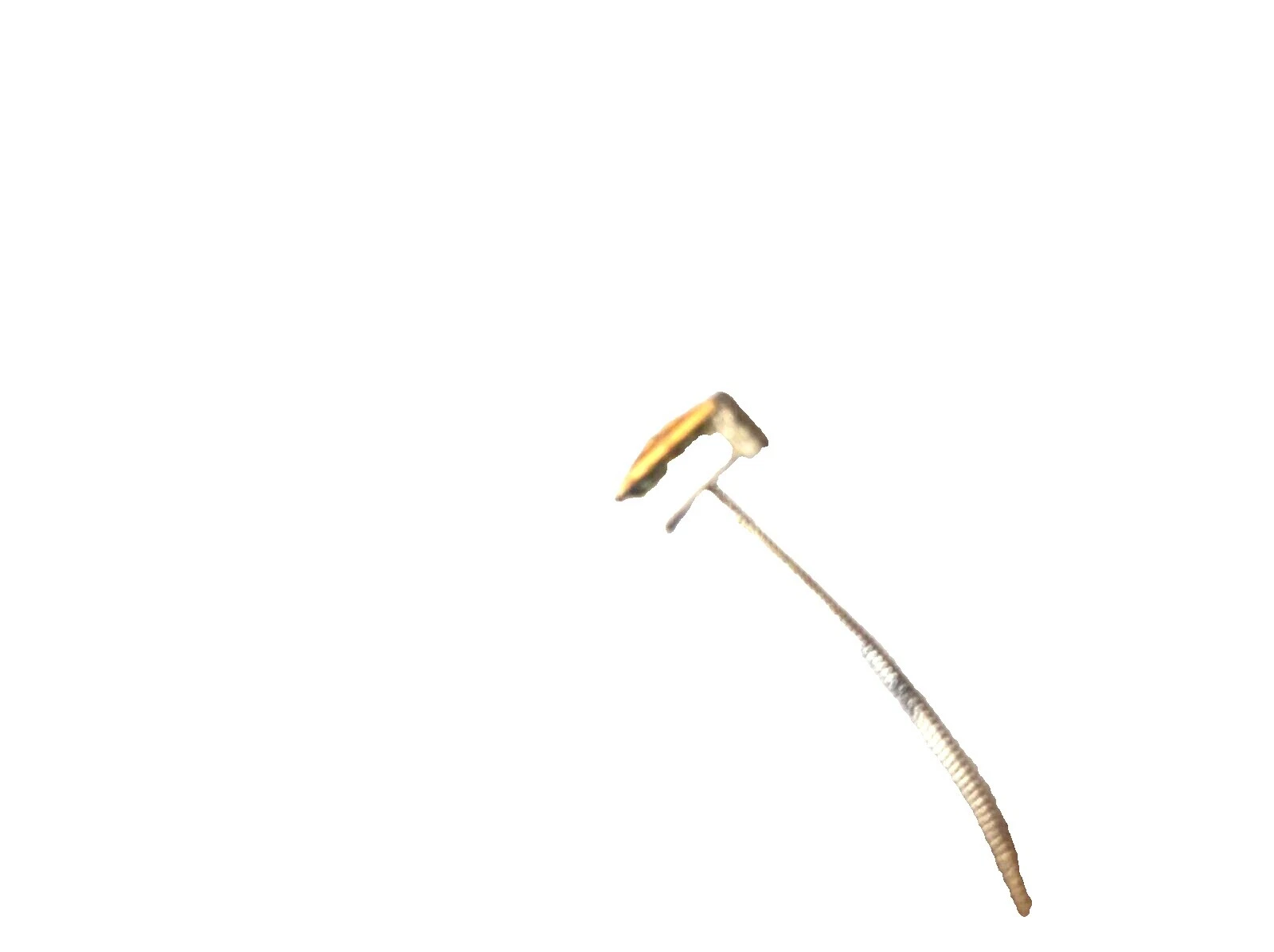 Godin Bartolini Acoustic Guitar Parts & Accessories