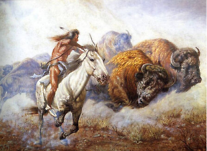 Buffalo hunting safari