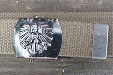Austrian Army olive green field web belt