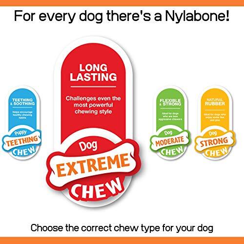 Nylabone Dura Chew Extreme Tough Dog Chew Toy Bone, Bacon Flavour, XL