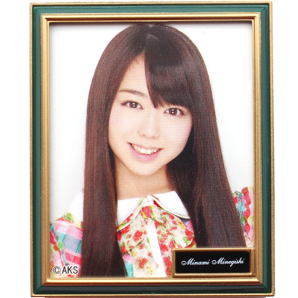 minami minegishi 