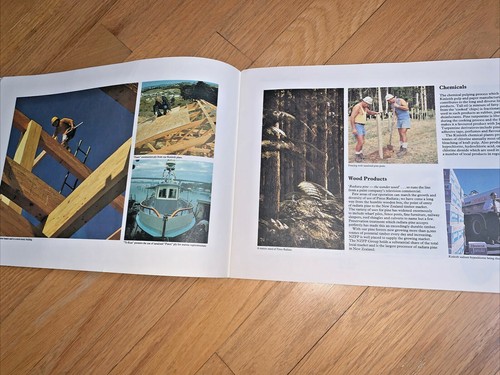 1979 N.Z. FOREST PRODUCTS LIMITED Annual Report - New Zealand - Foto 6 di 11