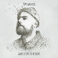 Tom Walker - What A Time To Be Alive - Vinyl Record - G3Z