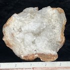 Picture 5 of 7