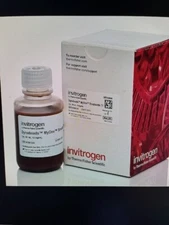 Thermo Fisher Scientific Invitrogen Dynabeads MyOne Streptavidin T1 50ml 65604D