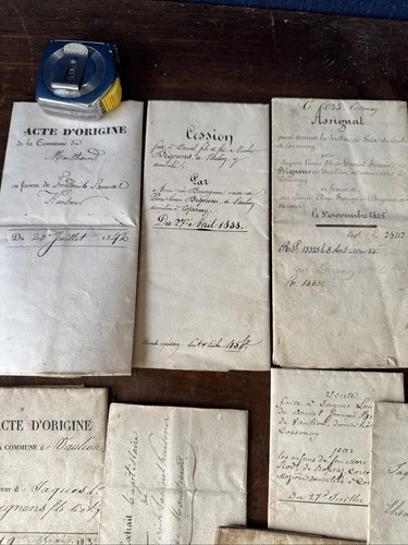 Document 19eme Frédéric Kursner Héraut De Genève Généalogie Passeport Suisse - Foto 10 di 23